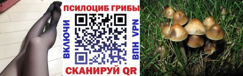 что такое   Санкт-Петербург  Галлюциногенные грибы прущие грибы 